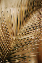 Golden palm leaf pattern. Abstract background.