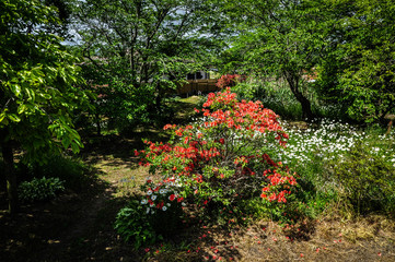 Garden beside Kazusa-Tsurumai station, Ichihara, Chiba, Japan