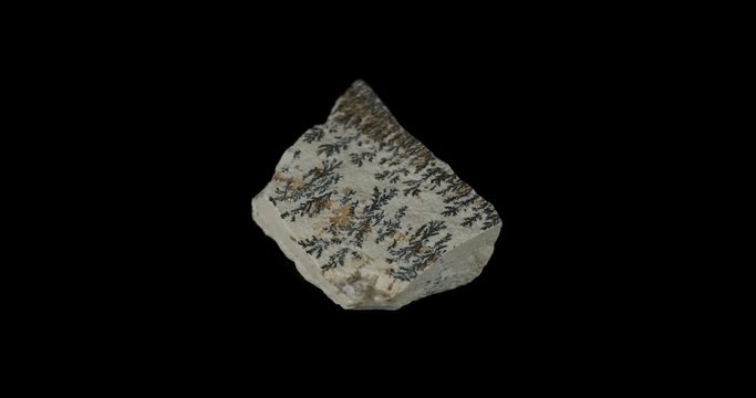 Magnesium Dendrites Limestone Turning on Black