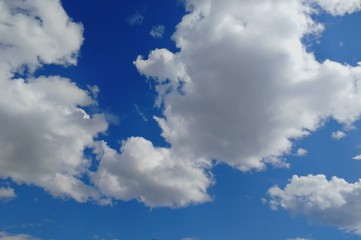 Naklejka na ściany i meble Blue sky with white clouds. Bottom view