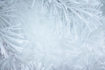Winter christmas background with snowy pine tree branches.