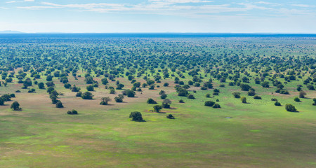 Kasanka National Park, Serenje, Provincia central, Zambia, Africa