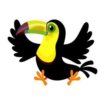 Cartoon Keel Billed Toucan Ramphastos Sulfuratus Isolated On White Background Stock Vector Adobe Stock