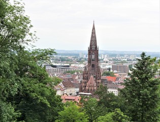 Fototapeta premium Freiburger Münster