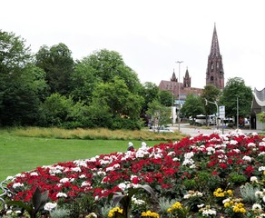 Freiburger Münster