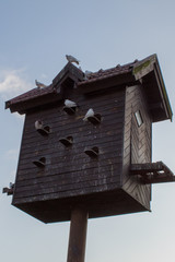  Dovecote with pigeons