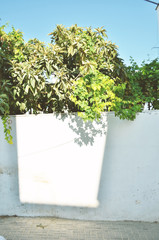  Bodrum street view in Turkey. - Image