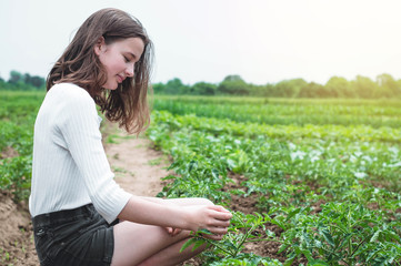 Teen girl touches hands with green plants in the garden. Care of the Environment. Ecology concept