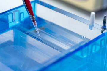 Molecular technique gel electrophoresis for DNA sample method decrypt the genetic code.