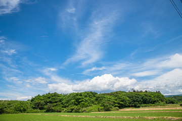 国道７号線の風景
