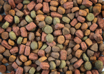Close up of domestic dry animal food for cats or dogs. Pile of c