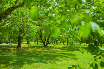 Green park
