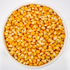 Bowl of Uncooked Popcorn Maize