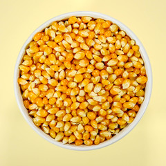 Bowl of Uncooked Popcorn Maize
