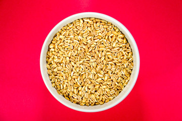 Raw Farro Dicocco Seeds