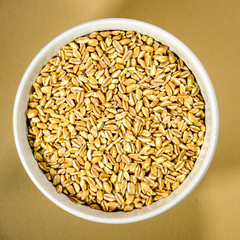 Natural Farro Dicocco Seeds