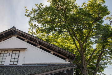 山形県酒田市の山居倉庫をたずねました