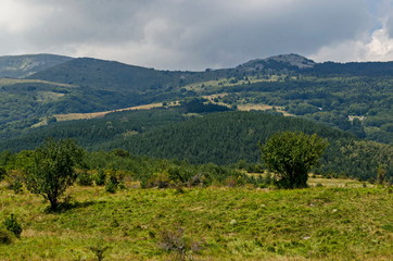 Naklejka na ściany i meble Panorama of glade and green forest in front of Black peak, Vitosha mountain, Bulgaria 