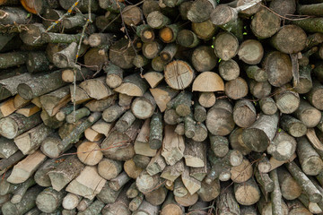 Firewood chopped on logs and stacked.