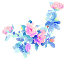 Elegant beautiful watercolor rose peony flower