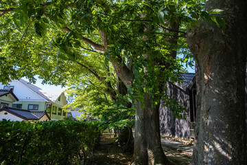 山形県酒田市の山居倉庫をたずねました