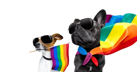 Foto auf Acrylglas Lustiger Hund Gay-Pride-Hunde