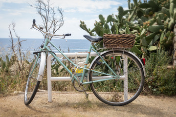 Fototapeta na wymiar road bike parked in a pathway beside the sea