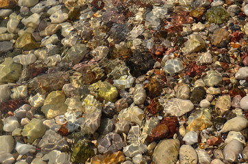 Wet pebbles by the sea