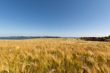 Reedevitzer Höft, Halbsinel Mönchgut, Insel Rügen