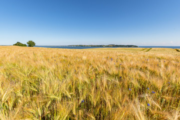 Reedevitzer Höft, Halbsinel Mönchgut, Insel Rügen
