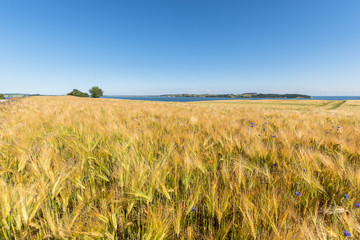 Reedevitzer Höft, Halbsinel Mönchgut, Insel Rügen
