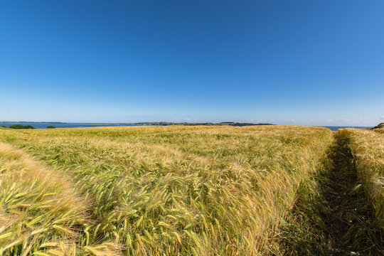 Reedevitzer H&ouml;ft, Halbsinel M&ouml;nchgut, Insel R&uuml;gen