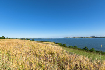 Reedevitzer H&ouml;ft, Halbsinel M&ouml;nchgut, Insel R&uuml;gen