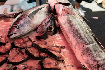 freshly caught tuna at the fish market in Sicily