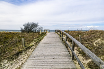 Obraz premium Wooden path at Baltic sea over sand dunes with ocean view