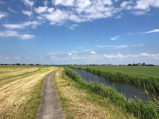 Fototapeta na wymiar Farmland around Greonterp in Friesland
