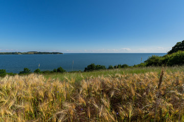 Reedevitzer Höft, Halbsinel Mönchgut, Insel Rügen