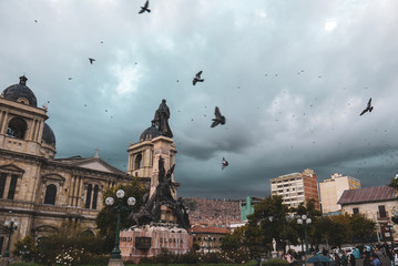 Fototapeta premium Pigeons flayind above Plaza Murillo in La Paz, Bolivia