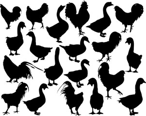 group of twenty farm bird silhouettes