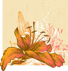 Abstract background with blooming lilies, hand-drawing. Vector illustration - 273853015