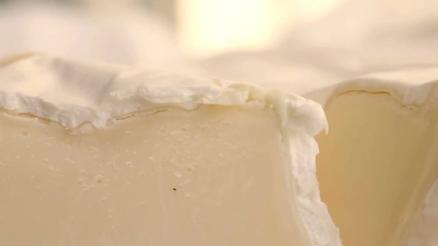 White mould cheese macro shot. Brie. Extreme closeup. Copy space. Selective focus. Slow pan.
