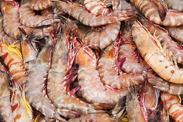 Prawns lay on counter of a fish market