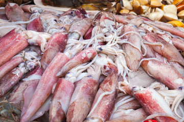 Obraz na płótnie Canvas Assortment of fresh squids, Malaysia
