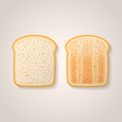 Slices of toast isolated on background. Fresh and toasted bread vector illustration.