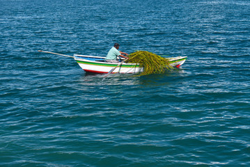 Boats of sun island in lake titicaca in Copacabana, Bolivia