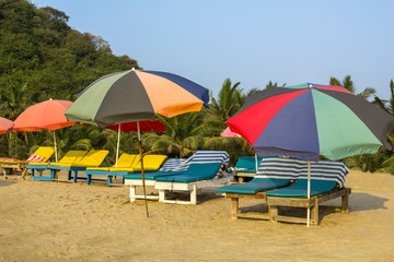empty wooden beach loungers with mattresses under bright large multi-colored sun umbrellas on the sand against the backdrop of the green palm jungle under a clear blue sky