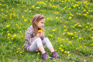 Fototapeta premium Girl and dandelions / Lovely little girl playing in the spring field full of dandelions