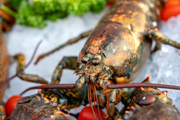 Sea fresh lobster at street market in Thailand. Seafood concept. Raw lobster for cooking, closeup