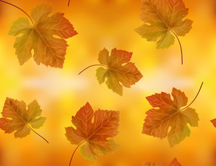 Orange grape leaves seamless pattern on autumn background. Seamless vector.
