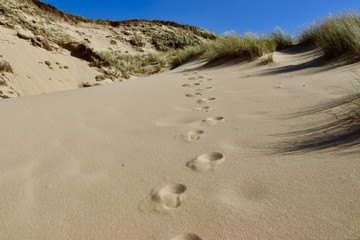 footprints in the sand